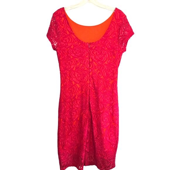 Cato Women's Dress 12 Pink Orange Lace Cap Sleeves  Sun Misses Size Large L - Picture 6 of 7
